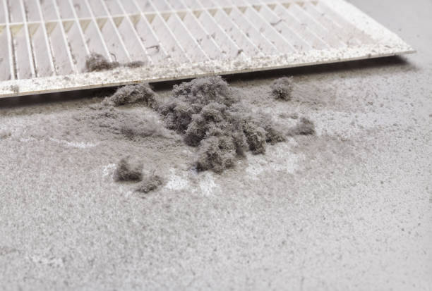 Best Best Air Duct Cleaning Near Me  in Ivanhoe, TX