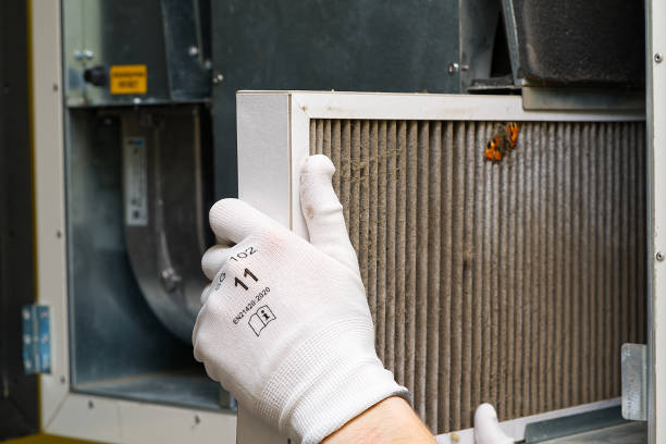 Best Best Air Duct Cleaning Company  in Ivanhoe, TX