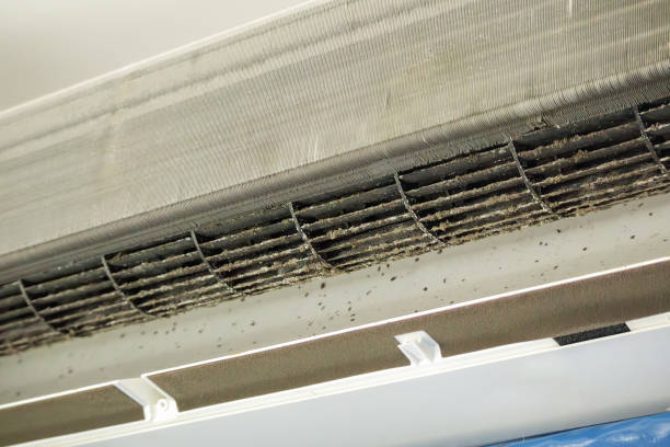 Best Air Quality Test  in Ivanhoe, TX